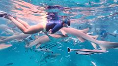 Dame snorkler med fisker rundt seg.