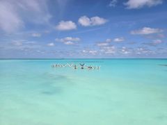 Gruppe mennesker ute i havet på tropisk strand.
