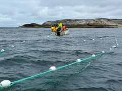 Kilenot ved Bugøynes.