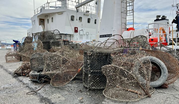 Tapte teiner uten råtnetråd kan fiske videre i opptil ti år. Her fra rydding i Indre Oslofjord i 2022. Fotograf: Stine Hommedal / Havforskningsinstiuttet