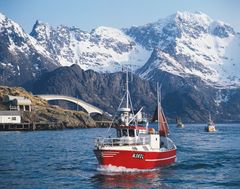 Både store og små fiskebåter skaper data ved via egne ekkolodd, kartplottere og fangstdata. I fremtiden vil forskere kunne bruke slik data til bedre å forstå endringene i fiskebestandene langs kysten.