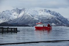 En større innsats legges nå ned for å finne erstaning for importert soya i norsk havbruk.