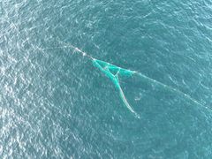 Kilenot i sjø ved Bugøynes