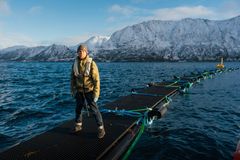Marius Andersen er forkser i Sintef Ocean, og bistår i utviklingen av børstevegger for å stoppe perlesnormanetene. Han står standby og klar til å rykke ut om organismene blir oppdaget i nærheten av merdene i Øksfjord.