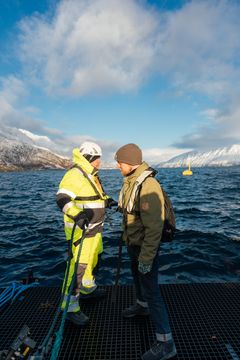 Benn-Levi Thomassen (Grieg seafood) og Marius Andersen (Sintef Ocean) jobber sammen om å beskytte havbrukslokalitetene mot perlesnormanetene.