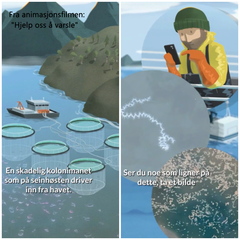 Skjermdump fra animasjonsfilmen "Hjelp oss å varsle" av Screen story.