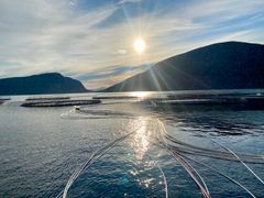 Nye lukkede og semilukkede anlegg, samt nedsenkbare og havgående merder, er på vei til å bli faset inn. Disse vil trenge vesentlig mer kapasitet i strømnettet i årene som kommer.