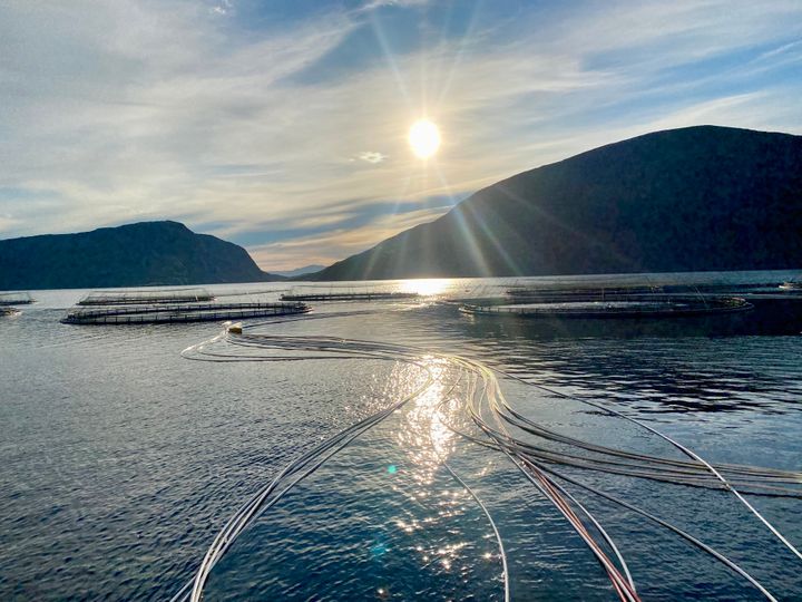 Nye lukkede og semilukkede anlegg, samt nedsenkbare og havgående merder, er på vei til å bli faset inn. Disse vil trenge vesentlig mer kapasitet i strømnettet i årene som kommer.