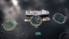 Sinkaberg-konsernet satser allerede tungt på elektrifisering. Stadig flere lokaliteter kobles til landstrøm for å redusere dieselbruk og CO₂-utslipp, og hybridteknologi tas i bruk på servicefartøy. Samtidig gjør akutt mangel på strømnett og kraft full elektrifisering av havbruksfartøy og lokaliteter utfordrende.