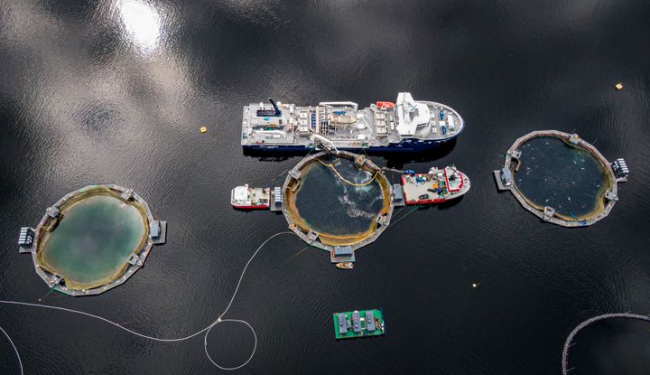 Sinkaberg-konsernet satser allerede tungt på elektrifisering. Stadig flere lokaliteter kobles til landstrøm for å redusere dieselbruk og CO₂-utslipp, og hybridteknologi tas i bruk på servicefartøy. Samtidig gjør akutt mangel på strømnett og kraft full elektrifisering av havbruksfartøy og lokaliteter utfordrende.