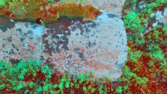 De nyoppdagede maleriene blir bedre synlig med ulike former for bildebehandling. Her kan man tydelig se en fiskefigur og en geometrisk figur som kan være en båt.