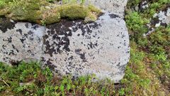 Her ser man berg med hellemalerier som hittil har vært ukjent. De er ikke lett å se uten digital redigering.