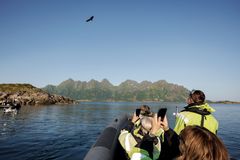 Guests from Havila Voyages watches the sea eagles in Lofoten.