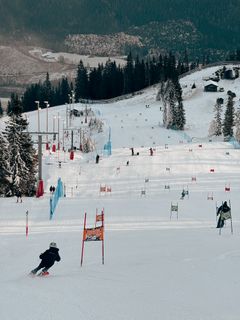 En gruppe skiløpere trener i en alpinbakke med perfekt snøforhold og furutrær i bakgrunnen.