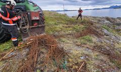 To personer fjerner piggtråd fra fjæra ved hjelp av en traktor.