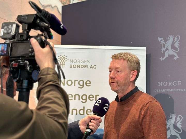 Leder i Norges Bondelag, Bjørn Gimming