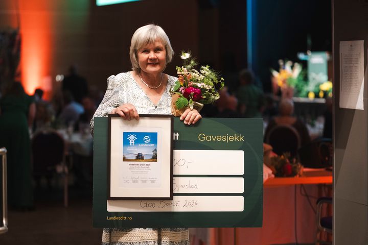Anne Kristin Syverstad