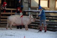 Foto: Langedrag Naturpark