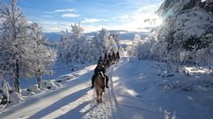 Foto: Langedrag Naturpark