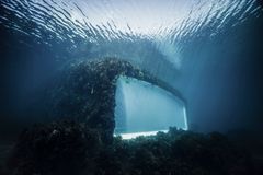 Under, Arkitekt: Snøhetta