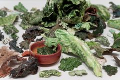 Ny nordisk. Mat, estetikk og sted. Detalj av Toril Redalen, «Lettuce legacy - Salatstudie», 2023.