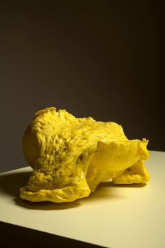 Karin Forslund, «Yellow Matter IV», 2022.