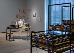 Jumana Manna, «Post-herbarium», 2016.
