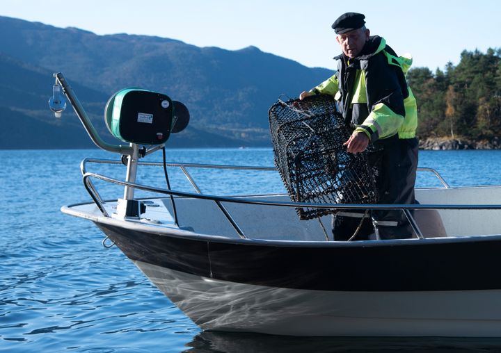 En%20person%20i%20b%E5t%20h%E5ndterer%20en%20teiner%20for%20hummerfiske%20p%E5%20sj%F8en%20med%20fjell%20i%20bakgrunnen.