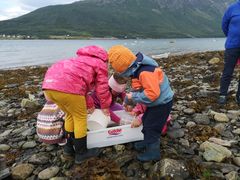 Flere barn bøyer seg over en hvit plastkasse på en steinete strand og undersøker skjell og smådyr. En voksen står ved siden av og veileder dem i sjøvettaktiviteter ved vannkanten.