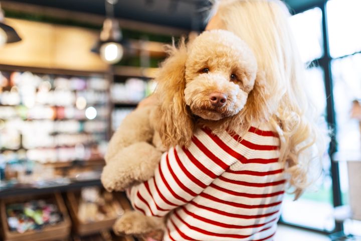 En person med blondt hår holder en krøllete, beige hund i armene inne i en butikk.