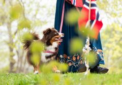 En hund står ved siden av en person som bærer en tradisjonell norsk bunad, med et norsk flagg i forgrunnen.