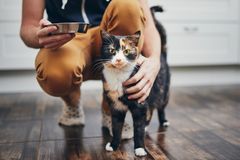 En katt står på gulvet ved siden av en person som holder en matskål.