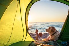 En person og en hund sitter i et telt ved stranden og ser på solnedgangen.