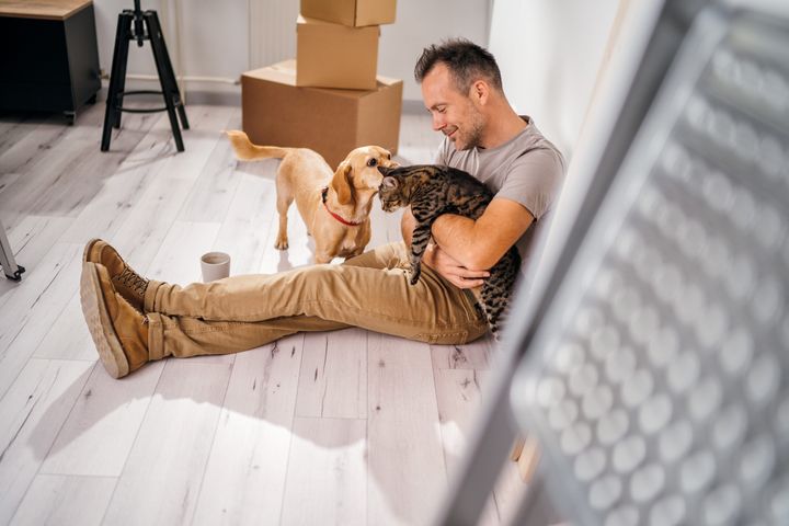 En mann sitter på gulvet og koser med en hund og en katt. Det er flytteesker i bakgrunnen.