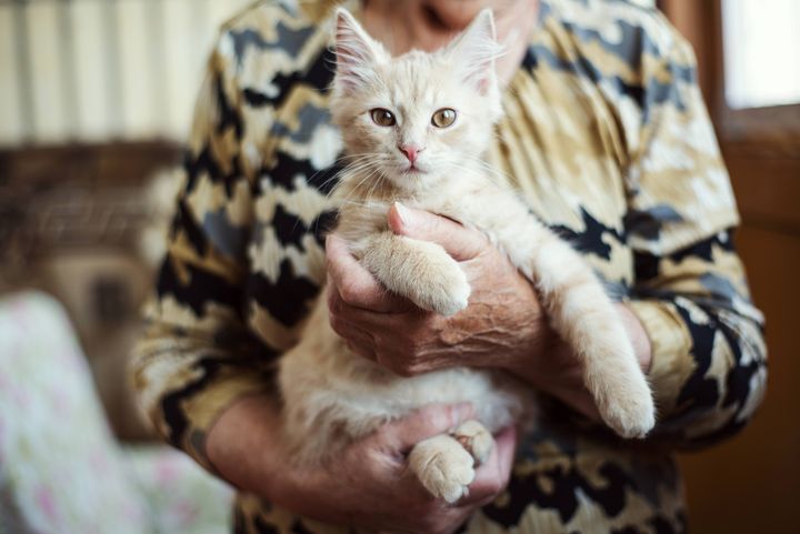 En person holder en lys kattunge i fanget.
