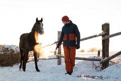 En person står ved et gjerde med en hest på en snødekt mark.