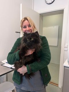 Caroline Holtet, Veterinær og klinikkleder ved Lisaklinikken
