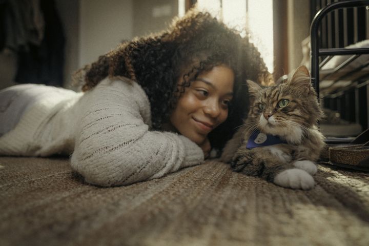 Person ligger på gulvet med en katt med Katteparadenskjerf