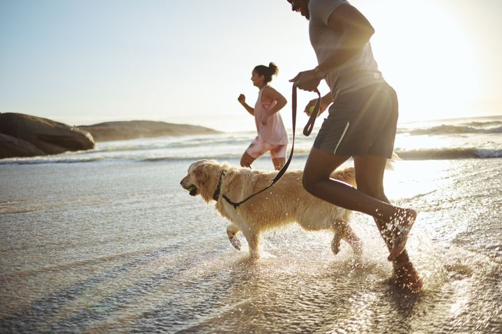 To personer jogger med en hund langs en strand ved solnedgang.