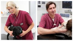 Bilde av Forskerne Ingrid Ljungvall og Jens Häggström med hunder