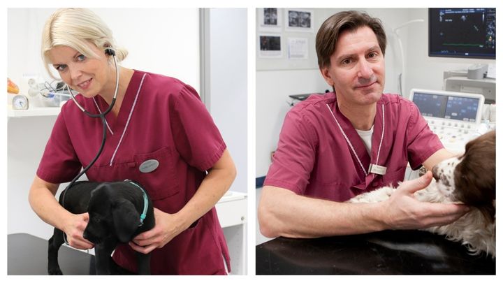 Bilde av Forskerne Ingrid Ljungvall og Jens Häggström med hunder