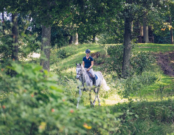 En person rir på en hvit hest i en skog