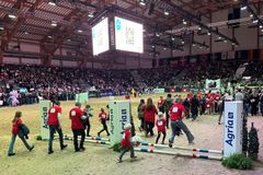 Deltakere hopper over hinder på Jump for Joy under Agria Oslo Horse Show.