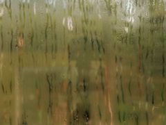 Misted window pane through which one glimpses green vegetation outside.