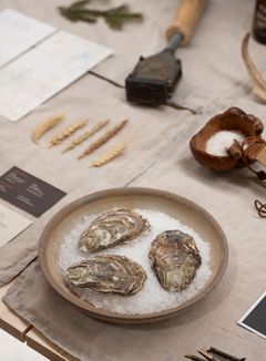New Nordic. Cuisine, Aesthetics and Place