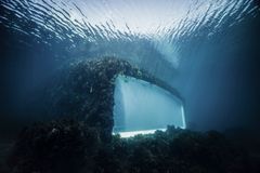 Under, Architect: Snøhetta. Photo Timon Koch/cinemarine.no