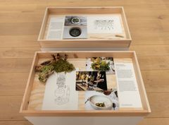 New Nordic. Cuisine, Aesthetics and Place