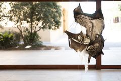 Detail of an object hanging from the ceiling made by reindeer stomach.
