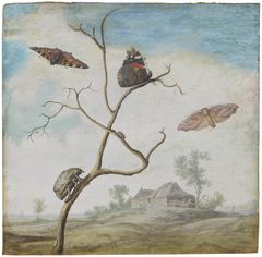 Margareta de Heer, Butterflies and Beetles in a Landscape, c. 1603–before 1665. Photo by Cecilia Heisser / Nationalmuseum, Stockholm