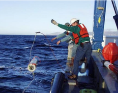 Sonatech is a leading undersea acoustics engineering and manufacturing firm supporting U.S. Navy projects in the defence sector.